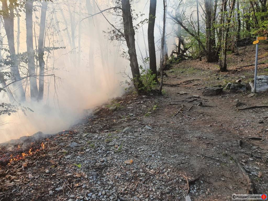 incendio vallemaggia