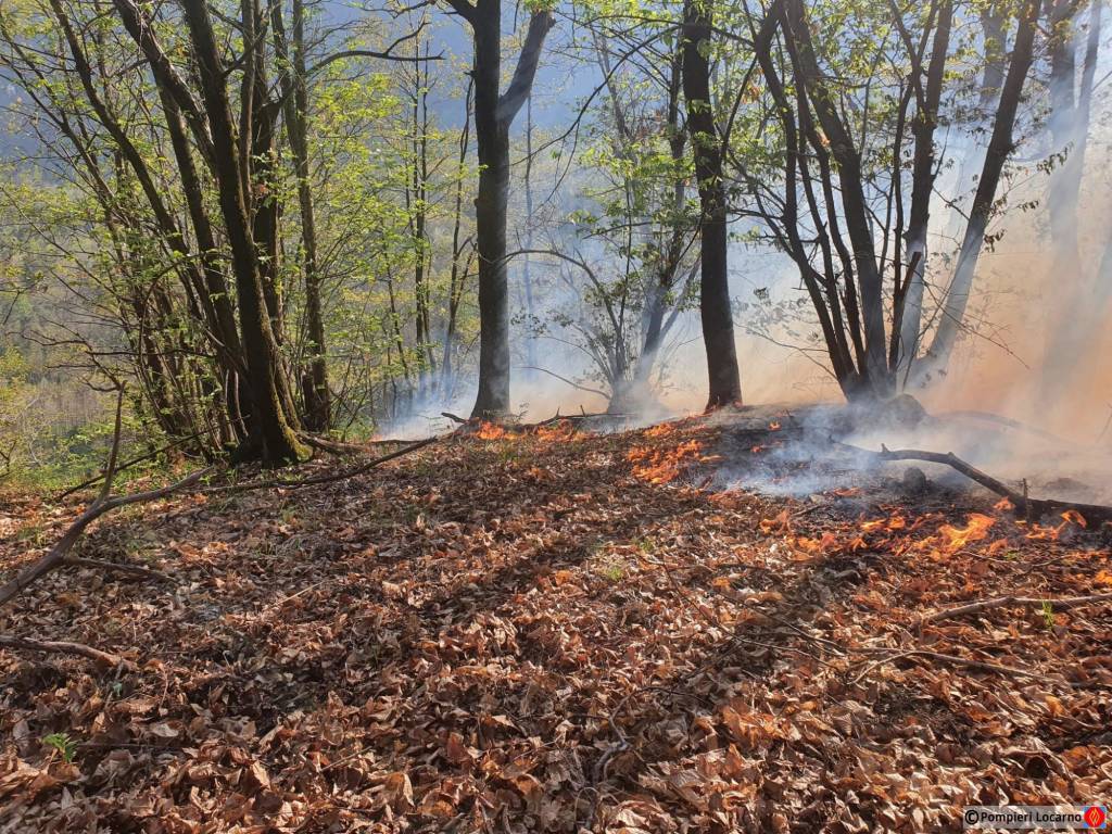 incendio vallemaggia