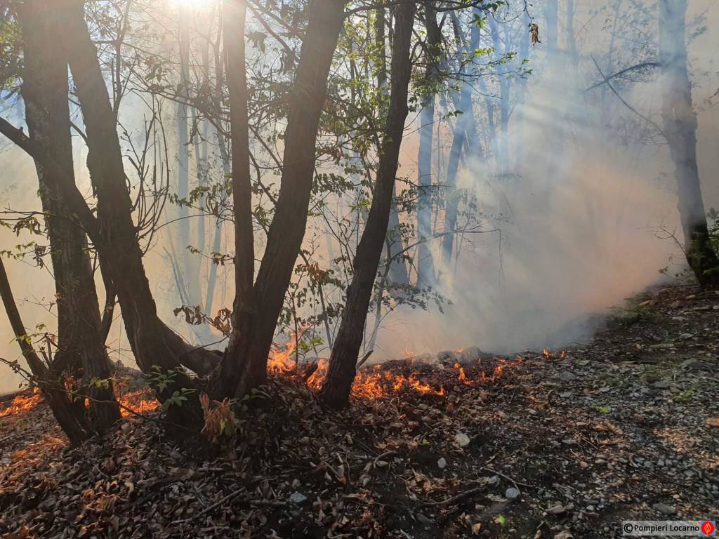 incendio vallemaggia
