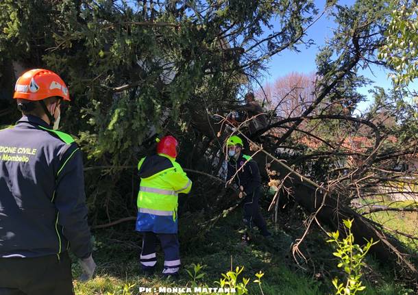 Interviene la Protezione Civile a Laveno Mombello, 