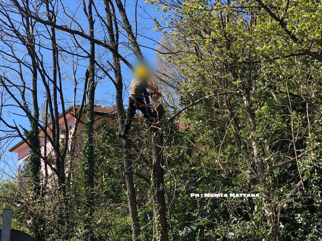 Interviene la Protezione Civile a Laveno Mombello, 