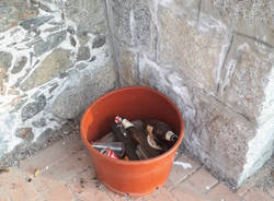 Spiaggetta di Belgirate