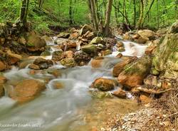 Brusimpiano, cascate del Trallo - foto di Riccardo Frison