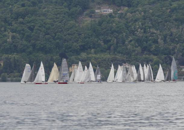 Campionato Italiano Minialtura