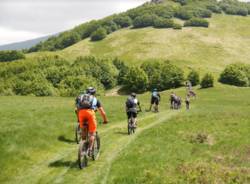 mountain bike