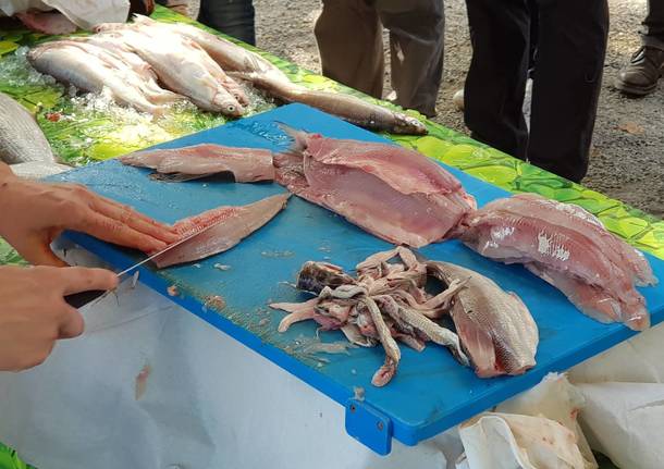 pesce di lago 