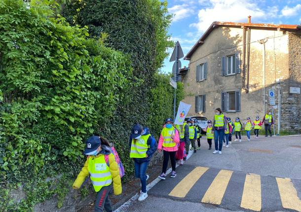Primo Pedibus alla Settembrini