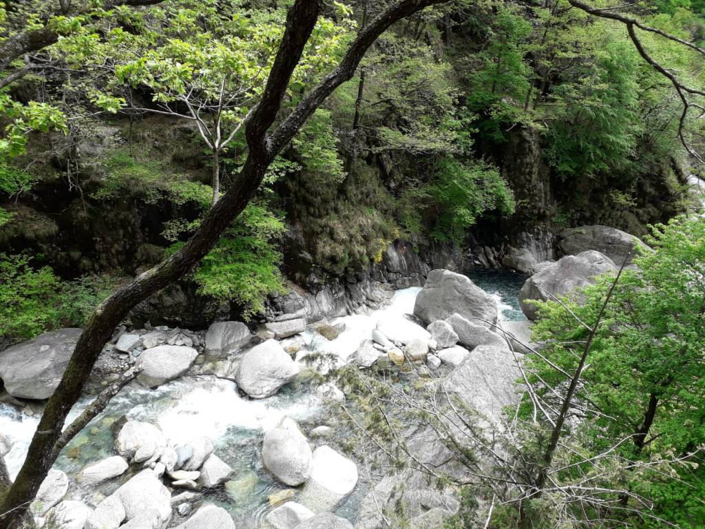 Una gita in Val Grande