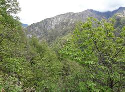 Una gita in Val Grande