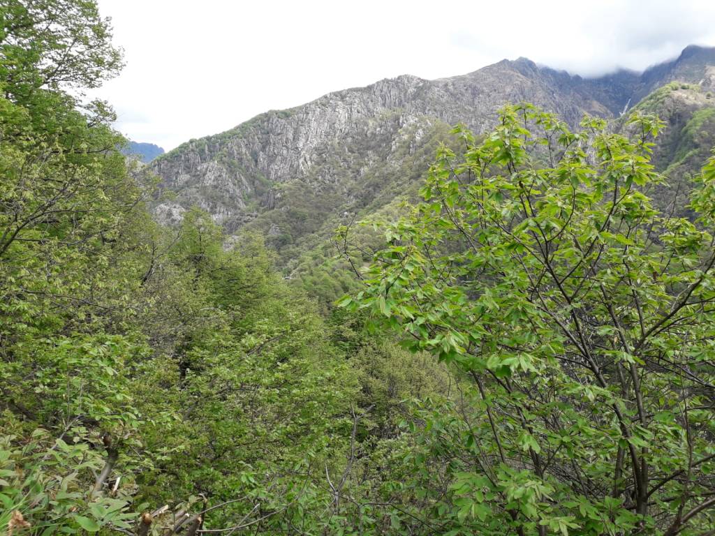 Una gita in Val Grande