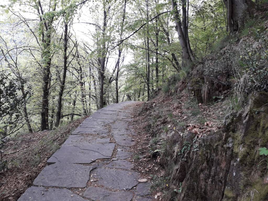 Una gita in Val Grande