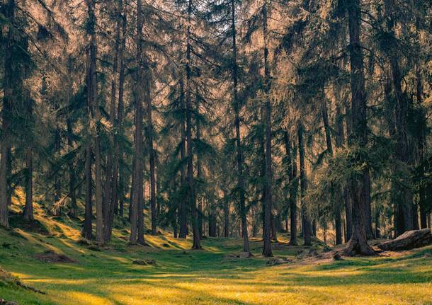 Bellinzona e Valli Turismo