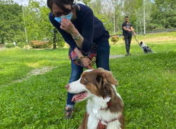 cani cinofilia uisp ciac