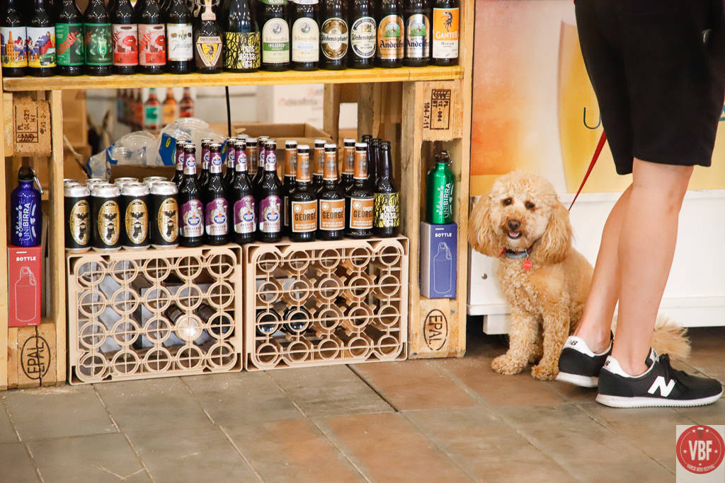 Un venerdì sera al Varese Beer Festival