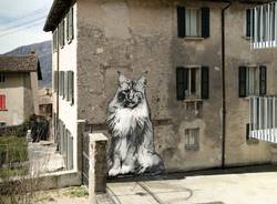 Estate di cultura in Canton Ticino 