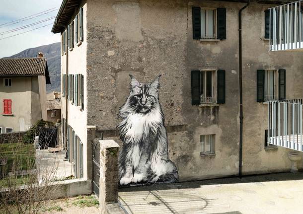 Estate di cultura in Canton Ticino