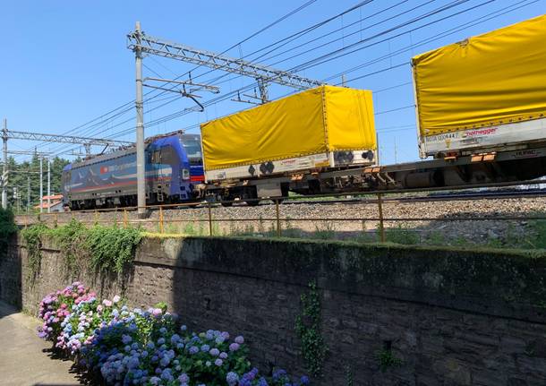 Gallarate treno merci treni ferrovia