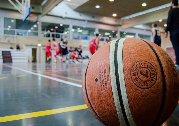 pallone basket uisp varese