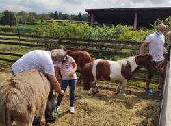 "ri abilitiamoci" progetto islander angera