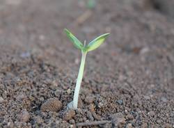 ambiente - generico (ph. legambiente)