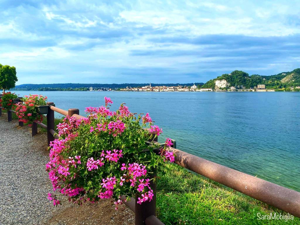 arona da angera - sara mobiglia 