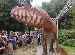 Il Saltriovenator a Milano
