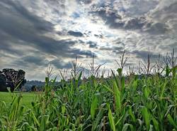 Il sole spunta dalle nuvole alla piana di Vegonno