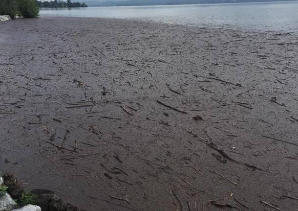 Maltempo sul Varesotto, la conta dei danni