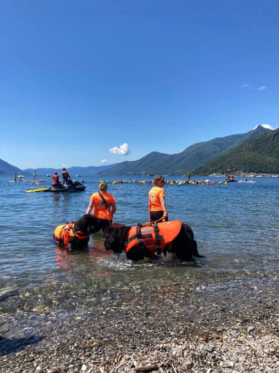 traversata dei castelli maccagno