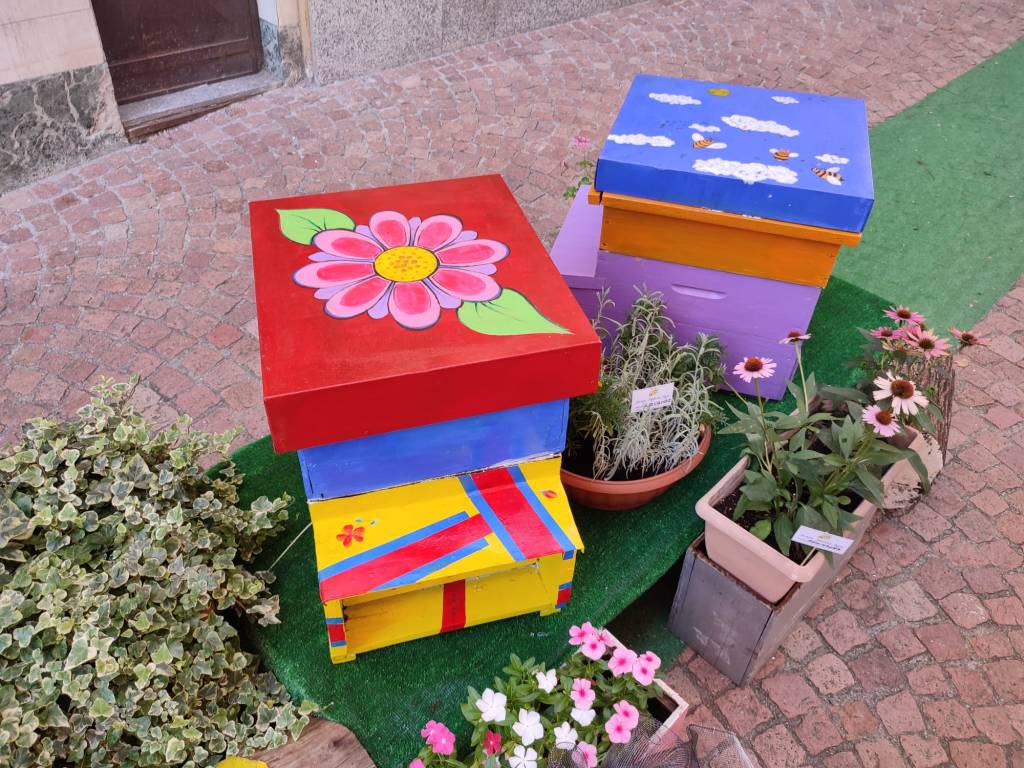 Via Cavallotti a Luino amica delle api