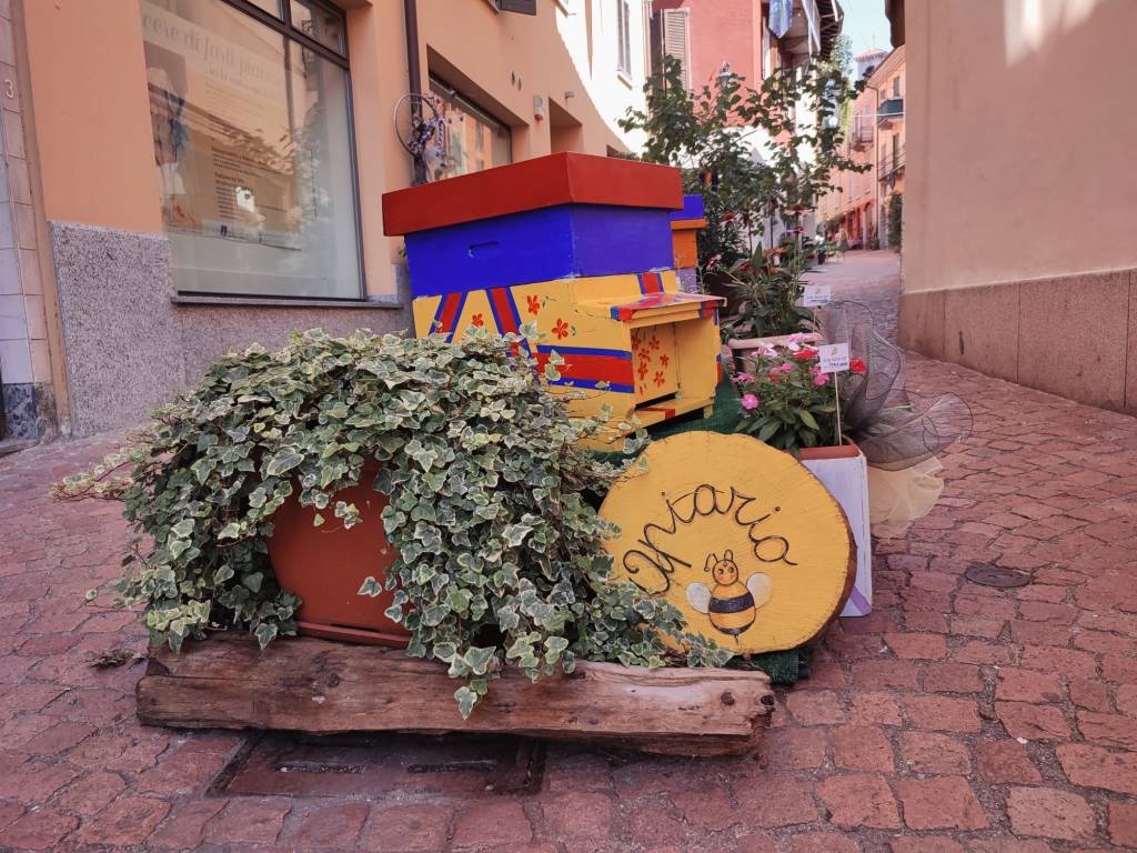 Via Cavallotti a Luino amica delle api