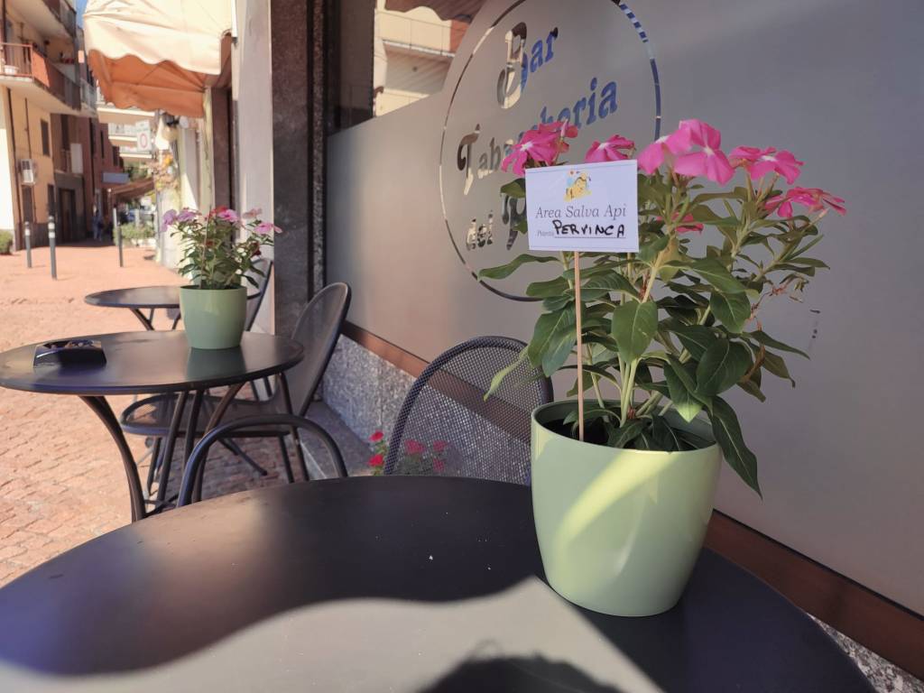 Via Cavallotti a Luino amica delle api