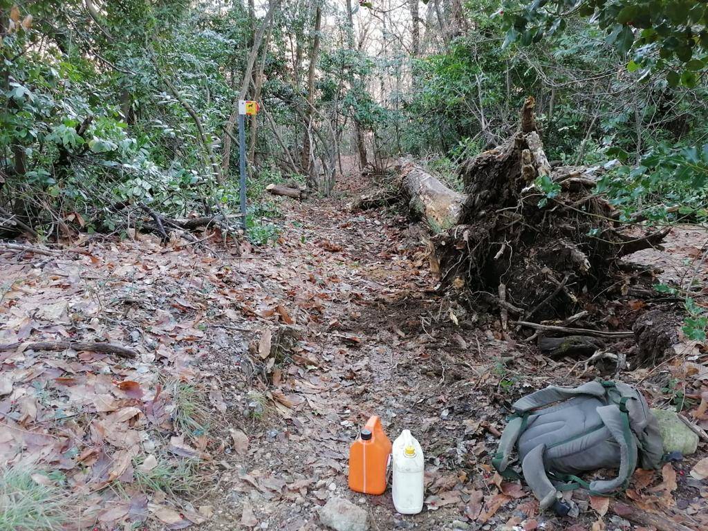 Riscoprire il territorio, i percorsi di Brezzo di Bedero
