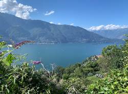 lago Maggiore varie