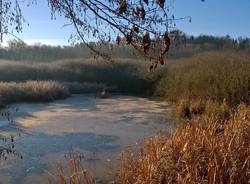 oasi fontanili Gallarate