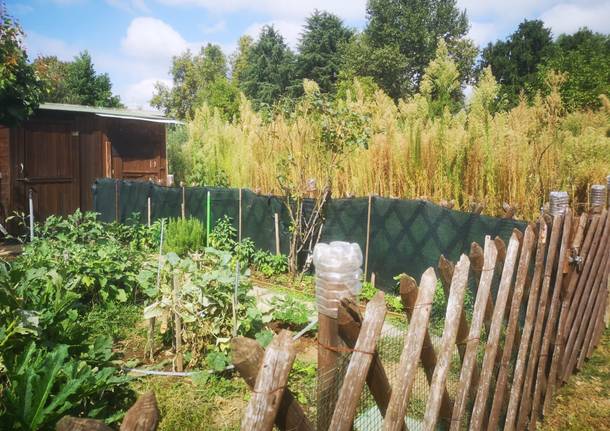 Orti sociali Legnano