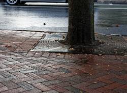 Petricore Geosmina Odore Pioggia