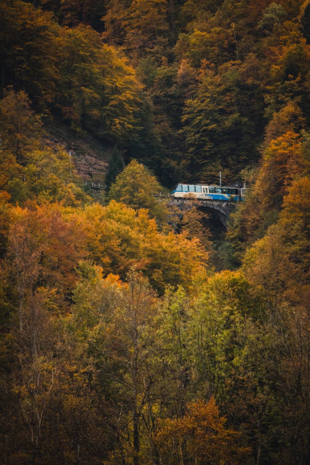 treno del foliage - ph. Rob Lewis