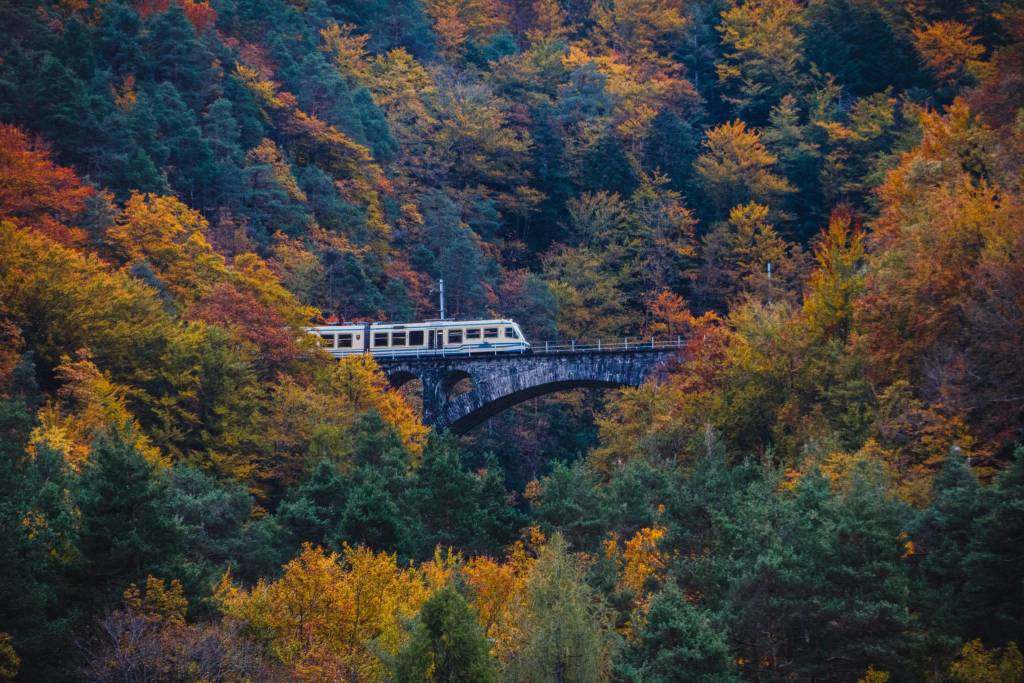 treno del foliage - ph. Rob Lewis
