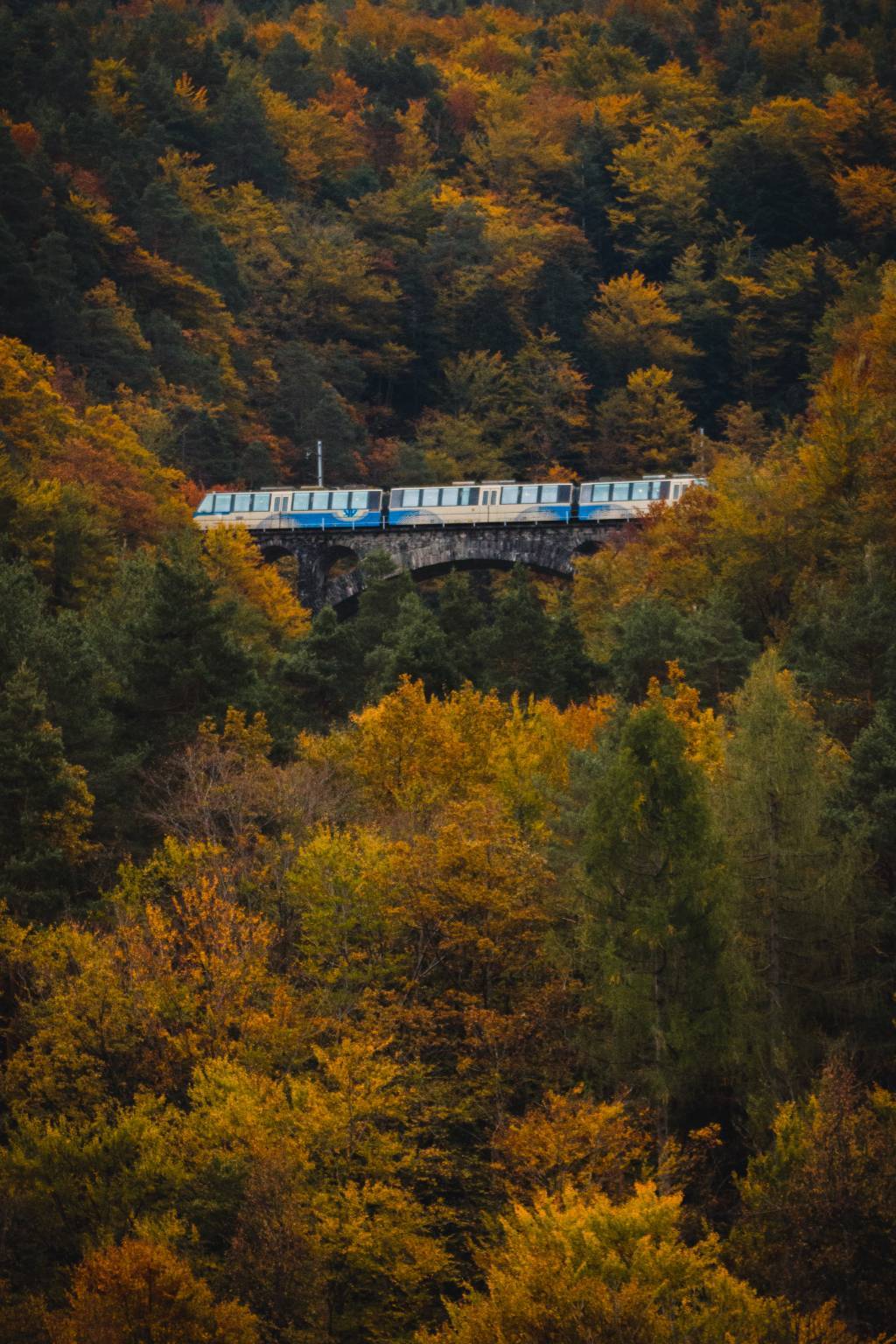 treno del foliage - ph. Rob Lewis