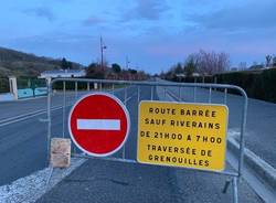 Animali selvatici e sicurezza stradale