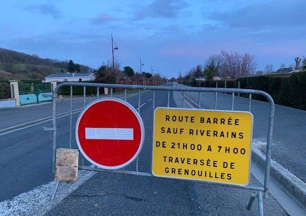 Traffico e animali selvatici: le soluzioni (più o meno efficaci) all’estero