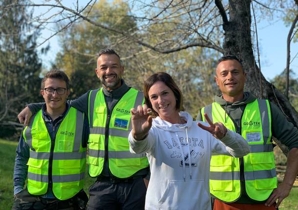 Il cuore d\'oro nascosto sotto al melo