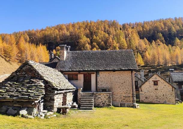 Lo spettacolo del Devero in autunno