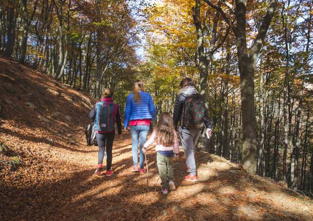 Foliage all'oasi Zegna