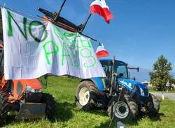 Germignaga - Protesta no green pass 