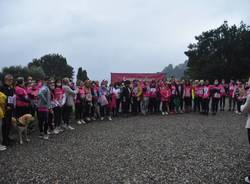 La camminata in rosa di Laveno Mombello 