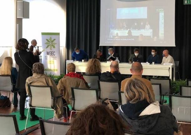 luino generiche