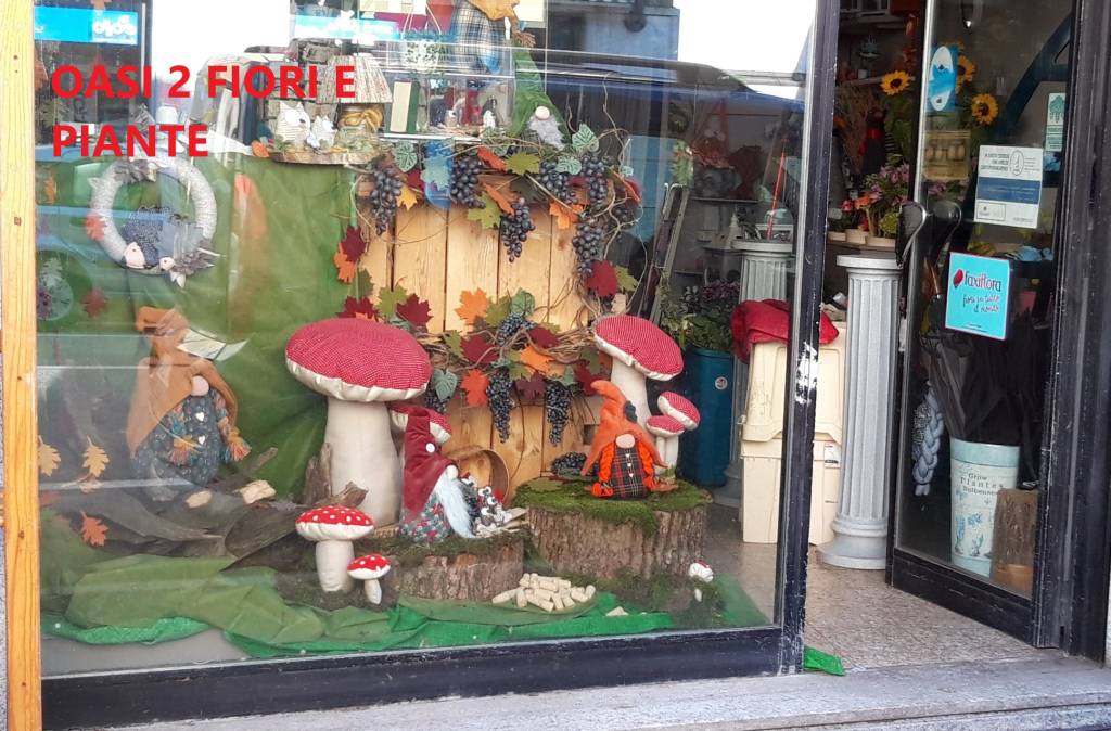 vetrine settembrine borgomanero