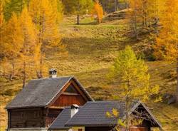I colori dell'autunno all'Alpe Devero